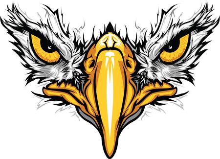 Eagle face Eagle face